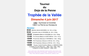 TOURNOI DE LA VALLEE DIMANCHE 4 JUIN 2017