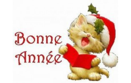 Bonne année 2011 !!