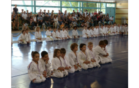 FETE DU CLUB - REMISE DE GRADES 11 JUIN 2011