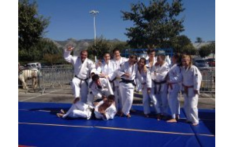 DEMONSTRATION ET INITIATION JUDO DECATLON AUBAGNE