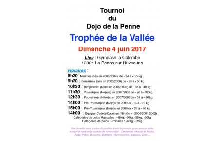 TOURNOI DE LA VALLEE DIMANCHE 4 JUIN 2017